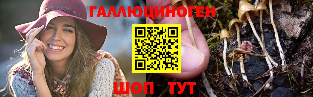 Псилоцибиновые грибы мицелий Глазов