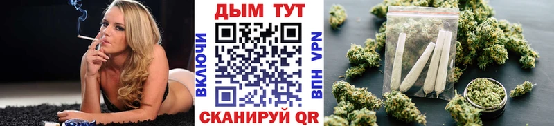 Конопля конопля Глазов