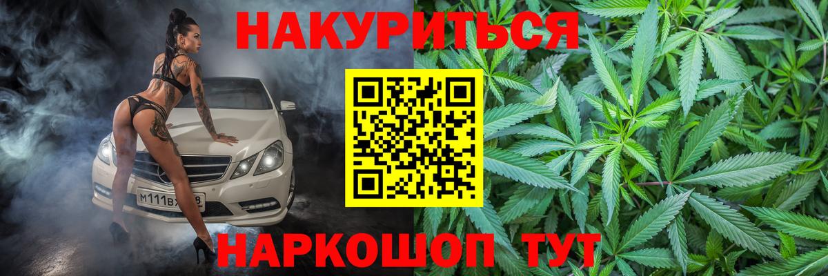 Конопля гибрид Глазов